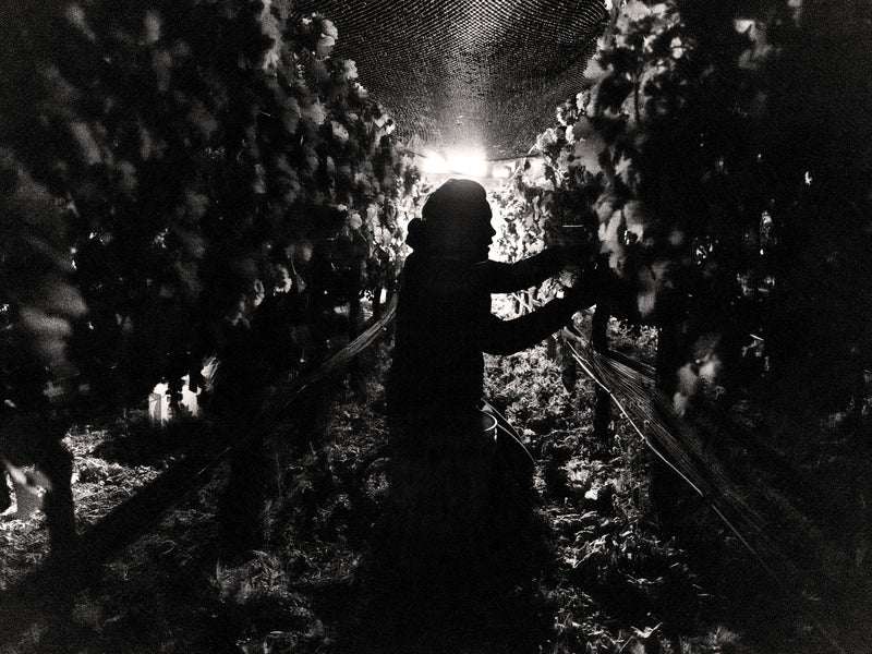 Whatever Normal Means