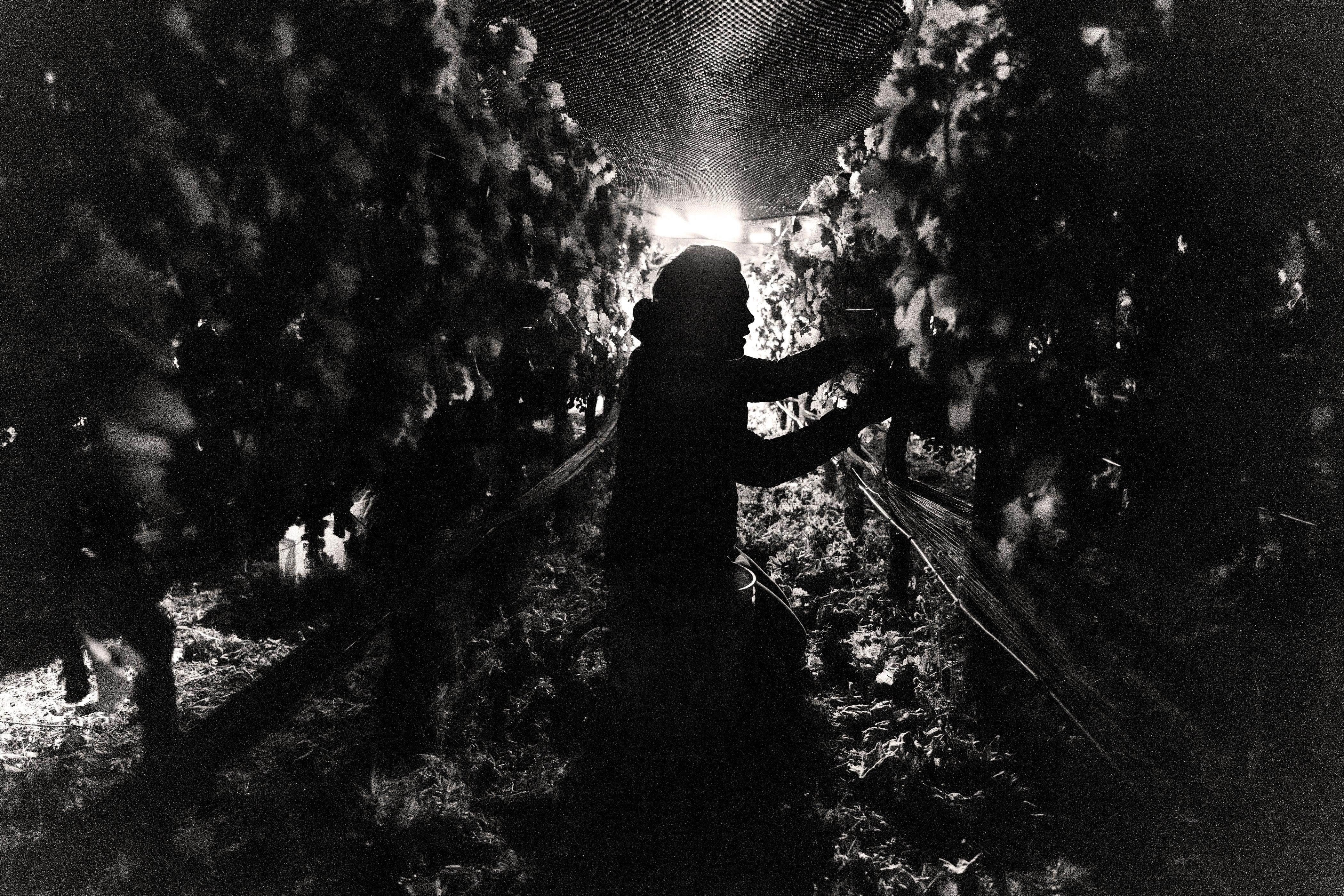 Whatever Normal Means