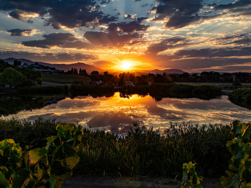Sunrise over Two Wolves vineyard and pong