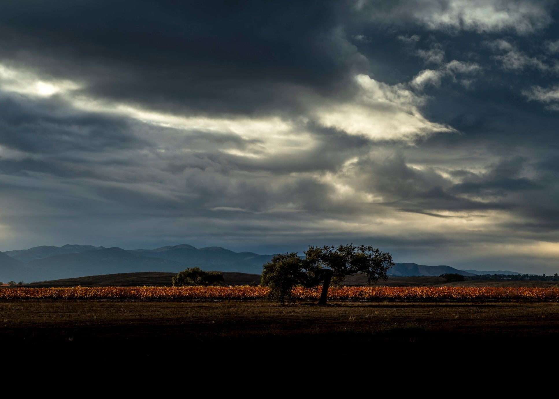 Dark clouds over a field with trees, vineyard, and mountains in the distance