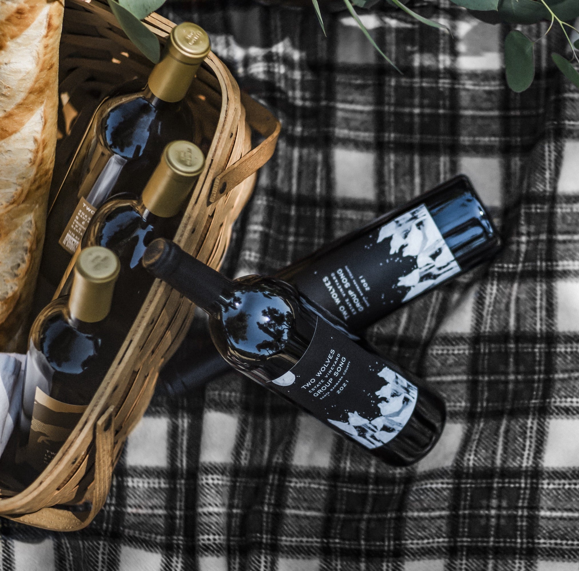 Two Wolves Group Song bottles on picnic blanket.