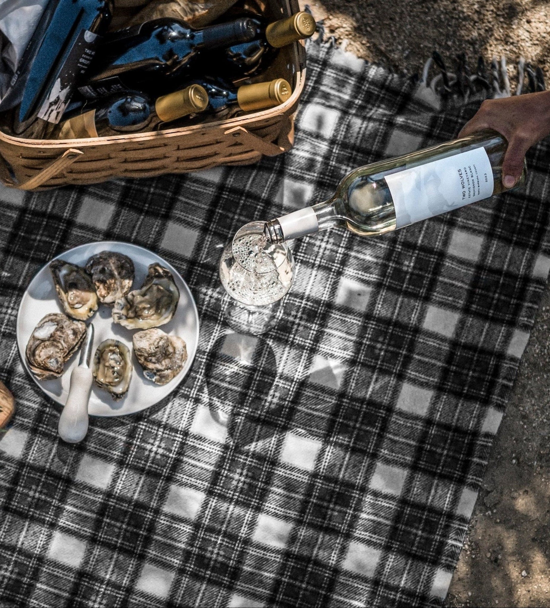 Picnic setup with Sauvignon Blanc, oysters, wine, and a basket on a checkered blanket.